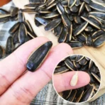 盛香珍 豐葵香瓜子重量包3kgX3包組(焦糖/日月潭紅茶/桂圓紅棗)：圖片 6