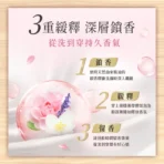 Lenor 蘭諾 衣物芳香豆/香香豆 1+3 超值組(甜花石榴香/晨曦玫瑰/清晨草木/甜柔麝香/青檸紫羅蘭 任選)：圖片 3