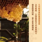 億昌養蜂場 100%天然蜂味-蜂巢蜜460gx2罐：圖片 4